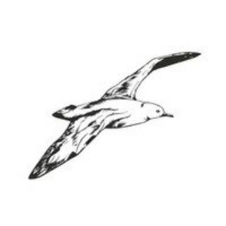 ИРКУТСКИЙ БУРЕВЕСТНИК