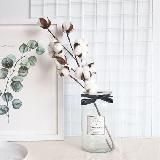 ALEXIS_HOME