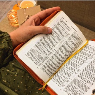 СТИХИ AНИ СТРИБУЛЬ