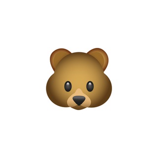 ОПЛАТА | BEARCOURSES