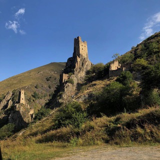 ГLAЛГLАЙ МОТТ