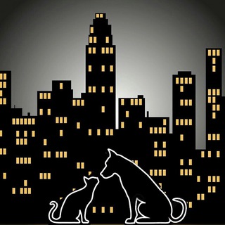 МИНИ ПРИЮТ КАЗАНЬ