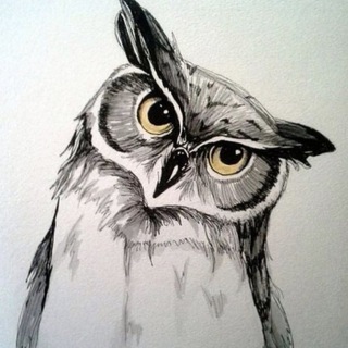 OWL-BLOG ЗАРАБОТОК В ИНТЕРНЕТЕ