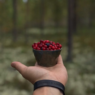 СЕВЕР В СЕРДЦЕ