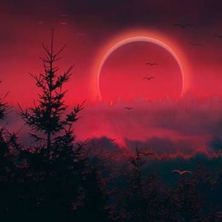 ТРОПИНКА В ЧАЩУ ( МАГИЯ , ОККУЛЬТИЗМ )