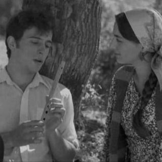 САН ДОЬЛХУ ДОГ.