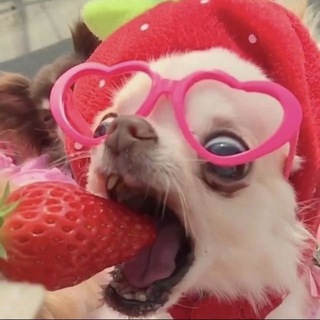 ВОКРУГ ТАРЕЛОК