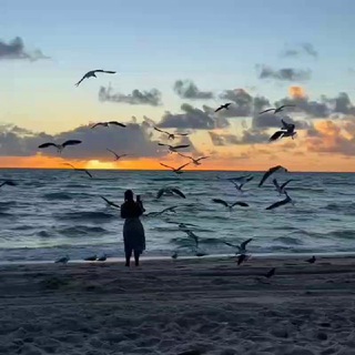 НА БЕРЕГУ МЕЧТЫ...