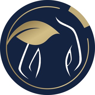 АЭК HEALTH&WELLNESS