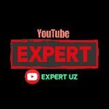 VIP EXPERT