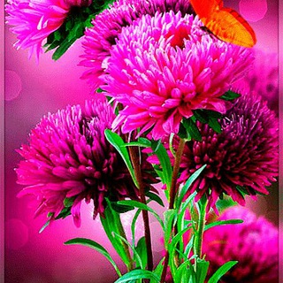 ИМЕННЫЕ ОТКРЫТКИ И ПОЗДРАВЛЕНИЯ