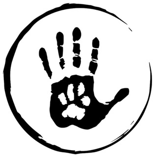 КАК ДЕЛА У ТИГРУЛЬ?