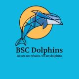 BSC DOLPHINS CHAT - BINANCE SMART CHAIN - PANCAKESWAP