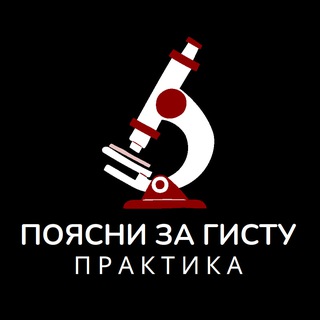 ПОЯСНИ ЗА ГИСТУ