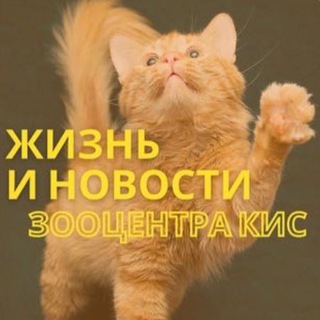 ЖИЗНЬ ЗООЦЕНТРА КИС