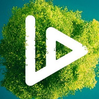 VIDT DAO AWARENESS TEAM