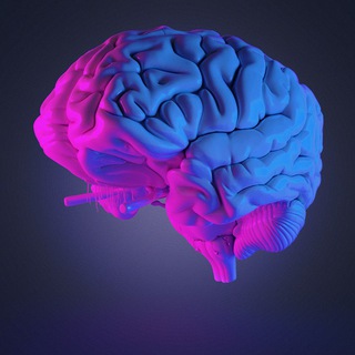 ПРОКАЧКА МОЗГА