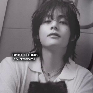 ВИРТ СОВМЫ