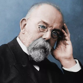 СТАРИНА КОХ