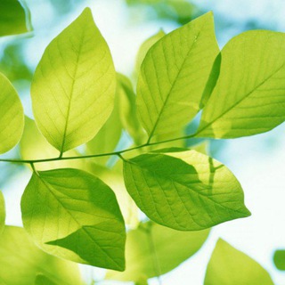 УДИВИТЕЛЬНАЯ ПРИРОДА