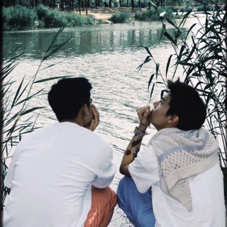 ••BUTTERFLY••