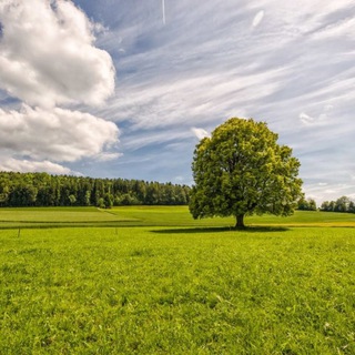 СТРЕСС-ТРЕВОГА-ПОМОЩЬ