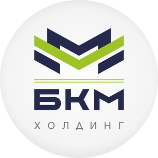 BKM HOLDING