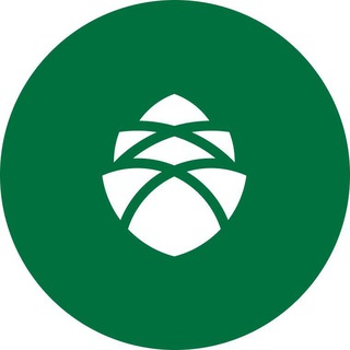 CONOMICA | ЧАТ КАНАЛА УПРАВЛЕНИЕ ДЕБИТОРКОЙ