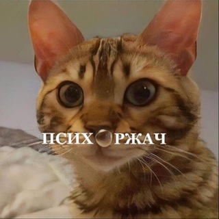 ПСИХОРЖАЧ