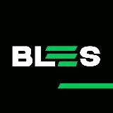 BLES — КІБЕРСПОРТ ТА ІГРИ | BLESSED ESPORTS