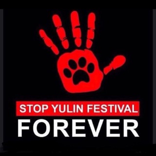 ПИСЬМА В ПОСОЛЬСТВА.STOP_YULIN_RU.BMF