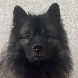 ПЕНЗА НОВОСТИ ВАКАНСИИ РАБОТА