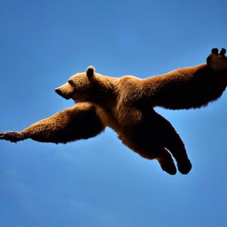 FLYING BEAR GROUP