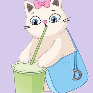 АНГЛИЙСКИЙ И КОТИКИ ДЛЯ СТУДЕНТОВ