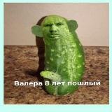 СЕМЕЙНЫЙ ЧАТ