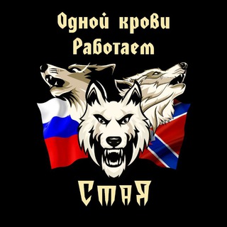 СТАЯ. ОДНОЙ КРОВИ.