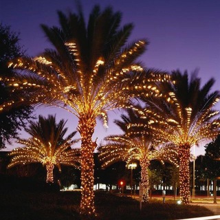 КРАСИВЫЕ КАРТИНКИ