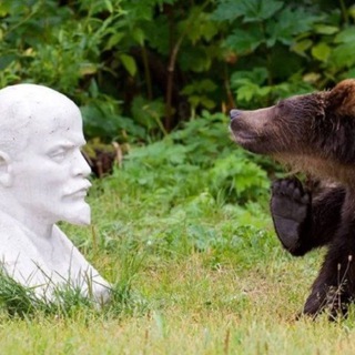 ЧУДИКИ В ПОЛИТИКЕ