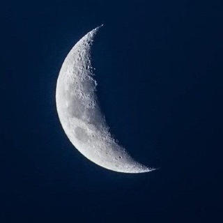 ЛУННЫЕ ДНИ. ПРОГНОЗЫ.