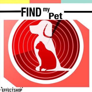 ПОТЕРЯШКИ-ХАБАРОВСК