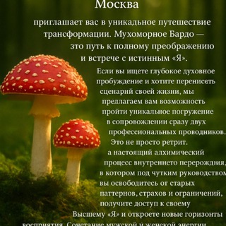 МУХОМОРНЫЙ ТРИП МОСКВА. СИТТЕРЫ. АЯУАСКА ПО РУССКИ