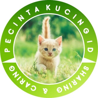 PECINTA KUCING ID