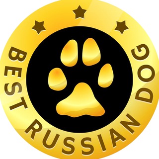 BEST RUSSIAN DOG ЛУЧШИЕ СОБАКИ РОССИИ