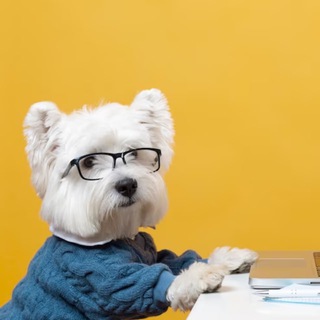  WB НА  OZON ЯМАРКЕТ -70%