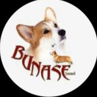 ПИТОМНИК BUNASE