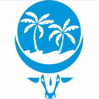 ИНДИЯ-ГОА.СЕГОДНЯ