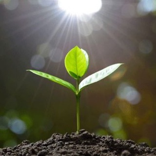 СВОБОДА БЫТЬ СОБОЙЮЛИЯ КОЗЫРЬ