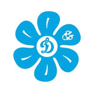 ВК «ДИНАМО-АК БАРС»