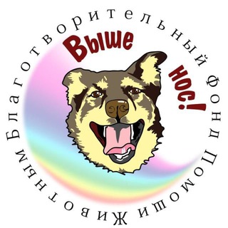 @BF_VISHE_NOS