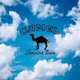 CAMEL | КАНАЛ